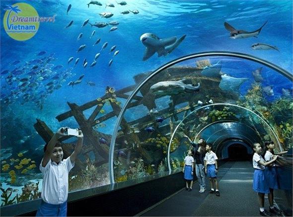 Tour du lịch Singapore 4 ngày GIÁ RẺ (Bay hàng không Vietjet) Tour du lịch Singapore 4 ngày GIÁ RẺ (Bay hàng không Vietjet)
